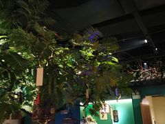 -佬麻雀·新湘菜(珠海金发购物中心店)