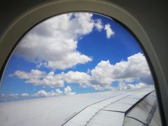 -新加坡航空公司(ION)