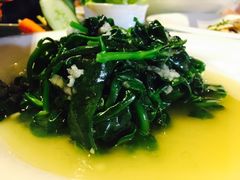 -碧丽宫大酒店(召稼楼店)