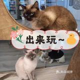 薅羊毛!西安养狗人必打卡的活动!不容错过!