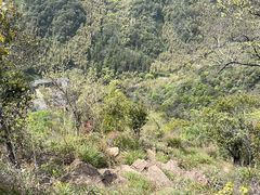-黄公望隐居地