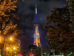 -大通公园
