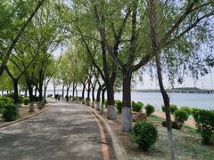 -丁香湖公园