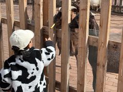 -水上乐园·欢乐世界