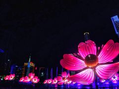-海心沙亚运公园