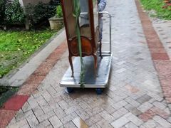 -蚂蚁搬家成都打包搬运公司