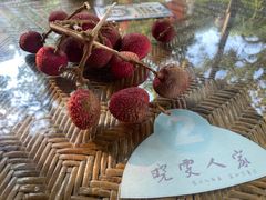 -晓雯人家