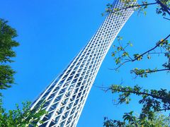 -广州都市观光巴士(粤陶巴)