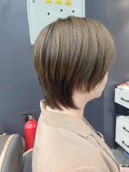 点击看大图 -藤野造型