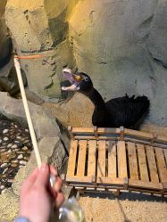 -酷嗒动物文化乐园(cutezoo西溪乐天城店)