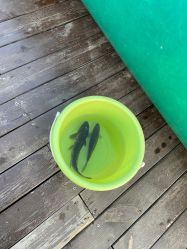 -小蜜蜂农场(凯德七宝购物广场店)