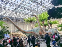 -国家自然博物馆