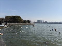 景点-蠡湖大桥公园