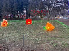-青龙湖公园