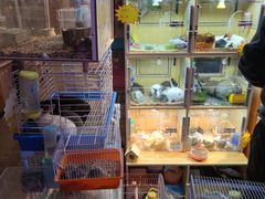 -宝鸡东道花鸟鱼虫市场(吉利花园商场店)