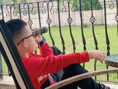 -重庆长寿碧桂园凤悦凤凰酒店