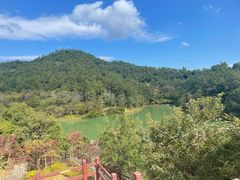 -广州白江湖森林公园