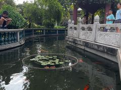 -碧江金楼