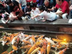 -唐山宴大唐州府精品中餐