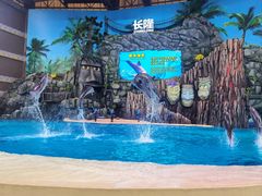 -珠海长隆海洋王国