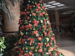 -南京维景国际大酒店(南京博物院店)