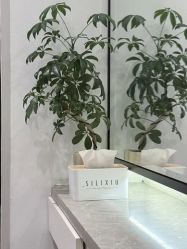 -LJOY丽锦造型·烫发染发