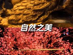 -索拉古贝(义乌北苑店)