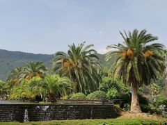 -宁波九龙湖开元度假村