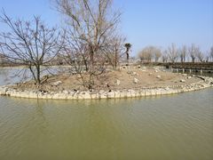 -盐城丹顶鹤湿地生态旅游区