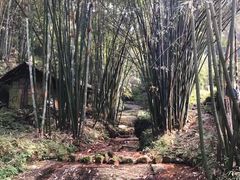 -四洞沟景区