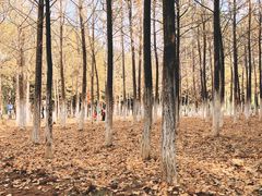 -艾溪湖湿地公园