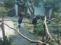 -九龙公园