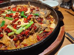 -老板恋上鱼(高新万达店)