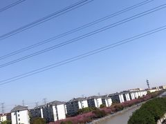 -高东镇樱花园