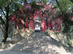 -南山植物园