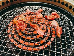 特选牛肋条-神户赤童日式烤肉伙伴(东直门店)