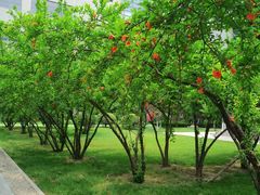 -长安大学(北校区)