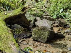 -七仙岭温泉国家森林公园