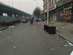 -中环花鸟鱼虫市场