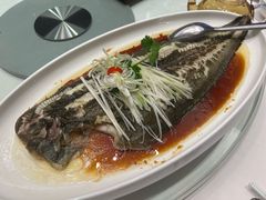 -千灯盛汇·头牌粤菜(致越优城店)