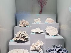 -天津自然博物馆