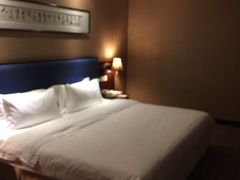 -顺德君豪酒店(佛山容桂渔人码头店)