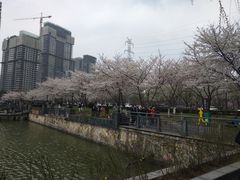 -西北湖绿化广场