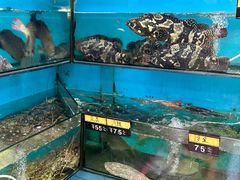 -老船长海鲜大排档(集美店)
