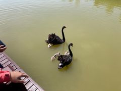 -南大港湿地风景区