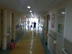 -上海市杨浦区中医医院