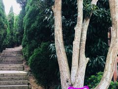 -青龙山公园