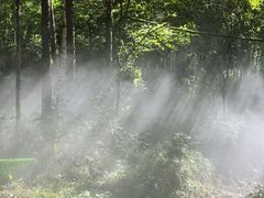 -帽儿山风景区