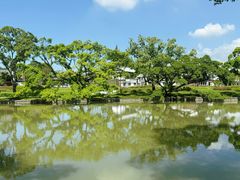 -江心屿景区