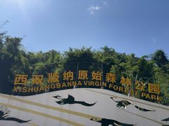 -西双版纳原始森林公园
